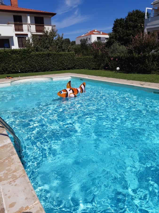 Appt Casa Kokka